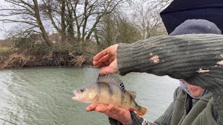 Just out of view trip 267  simple float fishing with maggots before the wind became unbearable [upl. by Heydon300]