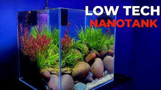 How to make small aquarium for beta fish at home step by step guide [upl. by Yeslah]