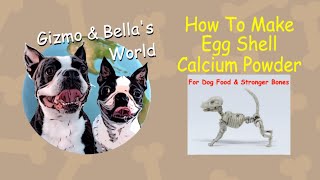 How To Make Egg Shell Calcium Powder for Dog Food [upl. by Sivi]