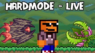 more Hardmode Infernum Terraria calamity LIVE [upl. by Nirroc552]