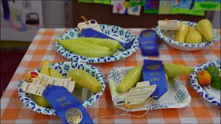 2024 Lawrence County Fair and Rodeo Highlights [upl. by Melentha]