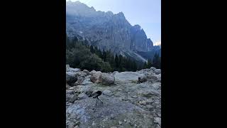 Mountain stream Monte Civetta [upl. by Dash]