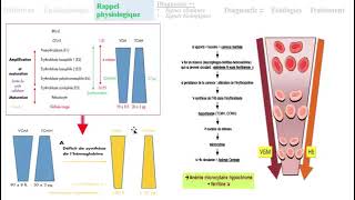 Hemato 02Anémie ferriprive avec cas cliniques Dr Abbadi [upl. by Bartram]