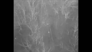 THERMAL DRONE CATCHES POACHERS [upl. by Brendan560]