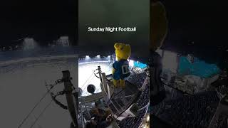 Jacksonville Jaguars jump with JaxsondeVille mascot nfl nflmascot [upl. by Oiragelo885]