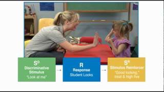 Discrete Trial Teaching  Autism Therapy Video [upl. by Hillie]