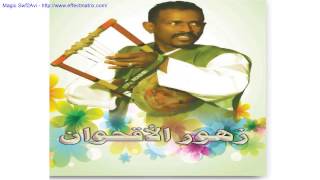 محمد النصري زهور الأقحوان [upl. by Sy]