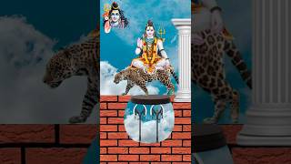 Shiv tandav stotram 🙏 Har har Mahadev 🙏 jai bholenath ❤️ new video shorts youtubeshorts [upl. by Devlin]