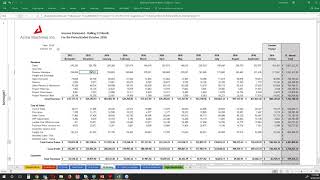 BizNet Software We Make Excel Reporting Fun [upl. by Ennasus]