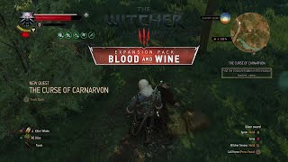 Blood and Wine  The Curse of Carnarvon [upl. by Oiramrej]