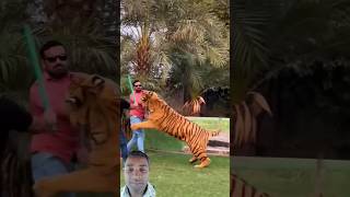 Dangerous Tiger Attacks On Boy  Nouman Hassan nawalahmed10 [upl. by Idolem]