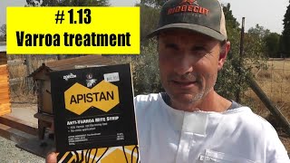 Varroa mite treatment Apistan [upl. by Imeka]