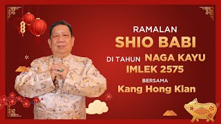 Ramalan Shio Babi di Tahun Naga Kayu 2024 Bersama Kang Hong Kian  Sonora Fengshui [upl. by Ahsikad]