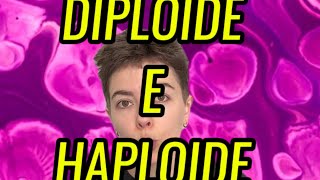 Qual a diferença entre célula diploide e haploide [upl. by Lerrej130]