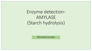 Enzyme detection amylase  Starch hydrolysis  MSc Microbiology Practical series  Biochemical test [upl. by Rola]