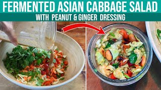 LACTOFERMENTED CABBAGE ASIAN SALAD with PeanutGinger Dressing  Probiotic Salad YUM [upl. by Nauq]