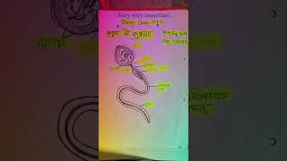 Up board trendingclass 10th sub  biology viral video 🔥very important board exam 2025🔥 [upl. by Tyrone480]