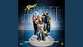 Privado Remix [upl. by Ib]