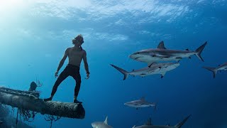 Sharks amp Shipwrecks  Freediving The Bahamas [upl. by Walczak]