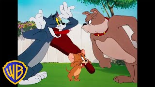 Tom amp Jerry  Best Buddies 🐭🐱🐶  Classic Cartoon Compilation  WB Kids [upl. by Kcirddahc]