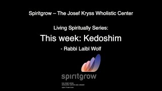 Kedoshim  Your Weekly Mission  By Rabbi Laibl Wolf [upl. by Adela]