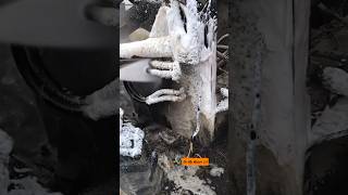 satisfying pressure wash washing truck bottom ASMR asmrcleaning satisfying satisfyingvideos [upl. by Namyw]