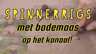 Karpervissen met Spinnerrigs en bodemaas op een kanaal [upl. by Meara]