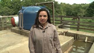 Implantação de biodigestores em pequenas propriedades rurais  Módulo II [upl. by Odlavso]