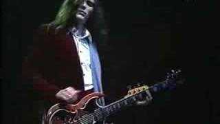 John Cipollina  Nick Gravenites Band Unviciouscircle [upl. by Uyerta114]