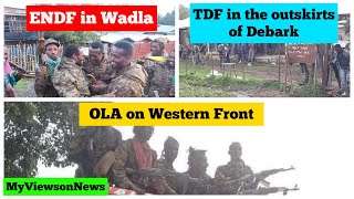 Ethiopia Wadla Woreda  TDF Debark town  OLA western Oromia [upl. by Uchida514]