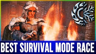 Skyrim BEST RACE for Survival Mode  Top 10 [upl. by Arnon]