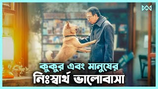 হাসবেন এবং কাঁদবেন 💖 Hachiko 2023 Movie Explain In Bangla Korean Drama Bangla 🟤 Cinemohol [upl. by Belinda]