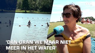 Negatief zwemadvies voor Hoornseplas vanwege zwemmersjeuk [upl. by Tito]