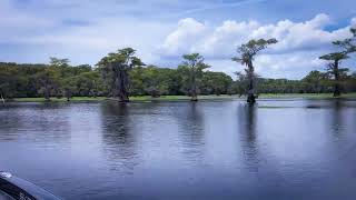 Caddo Lake [upl. by Macguiness]