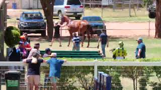 Charleville 20241026 Race 1 [upl. by Ahsilad]