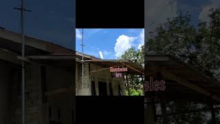 Test Starlink internet satelit starlink satelit shortsvideo [upl. by Negaem]