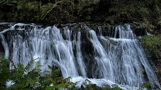 Karuizawa 輕井澤｜Shiraito Falls 白糸の滝 ｜Japan [upl. by Anoblav]