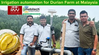 Irrigation automation for durian farm at malaysia by mobitech [upl. by Ainoek]