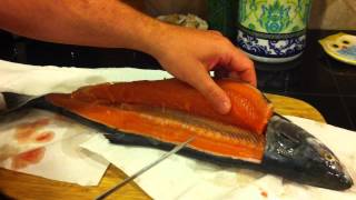 How to Fillet a Pink Salmon [upl. by Cr]