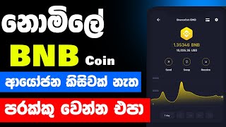 how to get free bnb coin sinhala  how to earn free bnb coin sinhala cryptosinhala [upl. by Eecram]