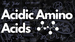 Acidic Amino Acids Aspartate amp Glutamate  MCAT [upl. by Janice]