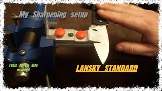 MY SHARPENING SETUP LANSKY STANDARD WITH VISE ASSIST [upl. by Pardoes]