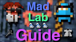 RotMG  Mad Lab Guide [upl. by Nodal668]