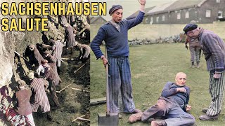 The Sachsenhausen Salute  WWIIs Most BRUTAL Torture Method [upl. by Chasse]