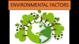 Environmental factors affecting plant growth [upl. by Cousin]