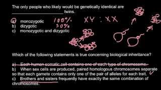 Monozygotic vs dizygotic twins [upl. by Yelena933]