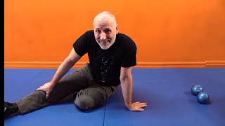 ICSA Certification Level 5Part 4 Grappling  2 [upl. by Aicilet]