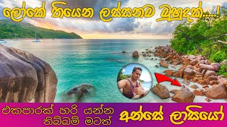 One of the best beaches in the world  ලෝකයේ හොඳම වෙරළ තීරයන්ගෙන් එකක් 4k travel beach [upl. by Donella]