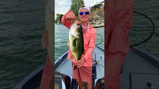 HUGE Northern Bass 🎣 smallmouthbass bassfishing giantbass fishing largemouthbass [upl. by Aticnemrac]