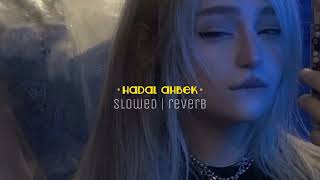 hadal ahbek  slowed reverb  for best experience 🎧 [upl. by Ennywg]